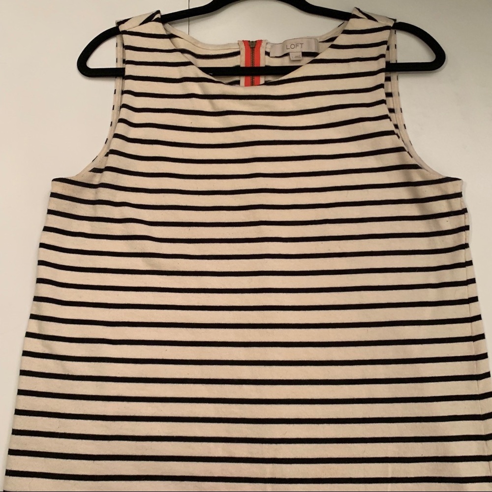 Ann Taylor LOFT Cream and Navy Top L